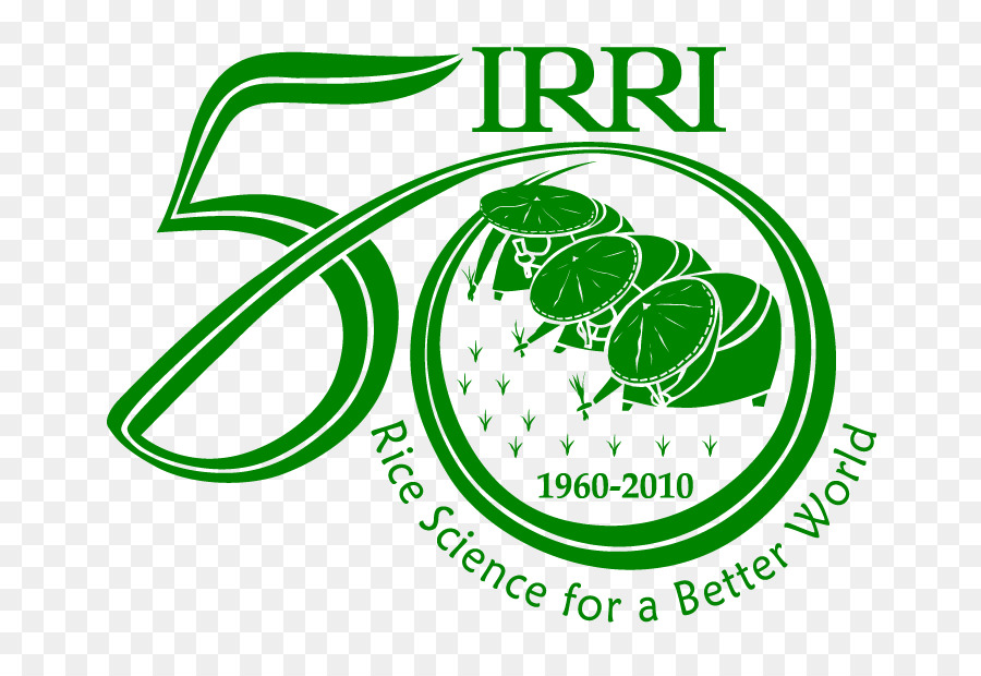 International Rice Research Institute，Arroz PNG