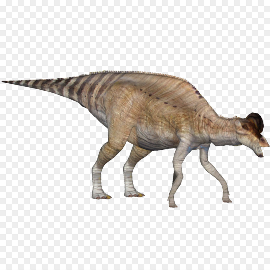 Tiranossauro，Corythosaurus PNG