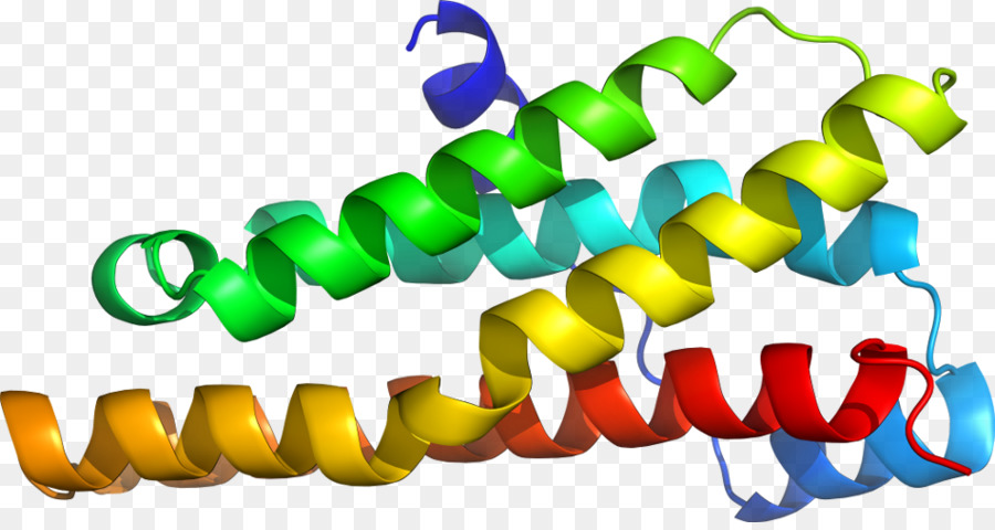 Hélice De Proteína，Molécula PNG