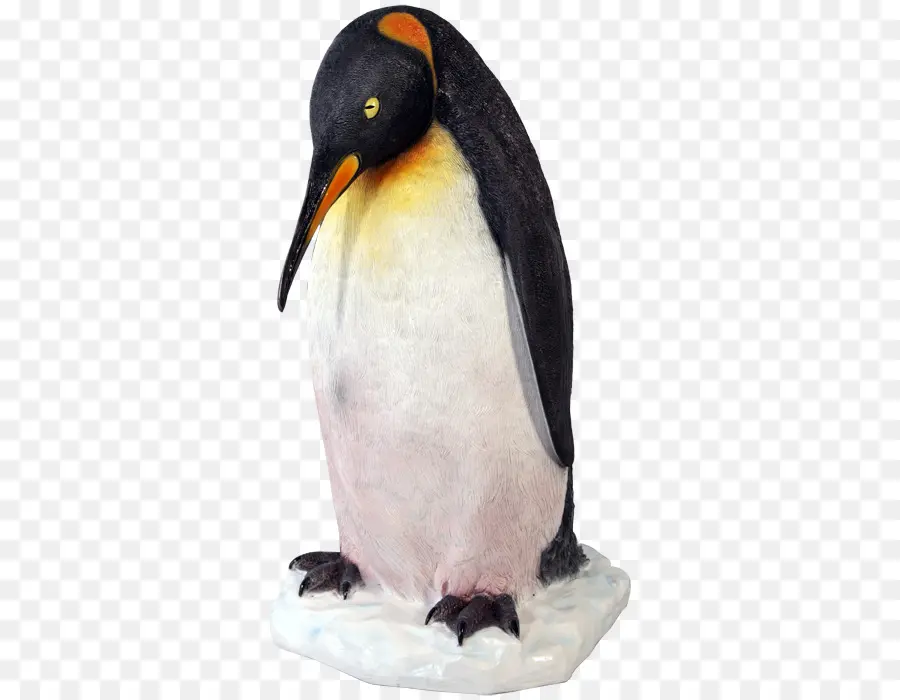 Pinguim，Pássaro PNG