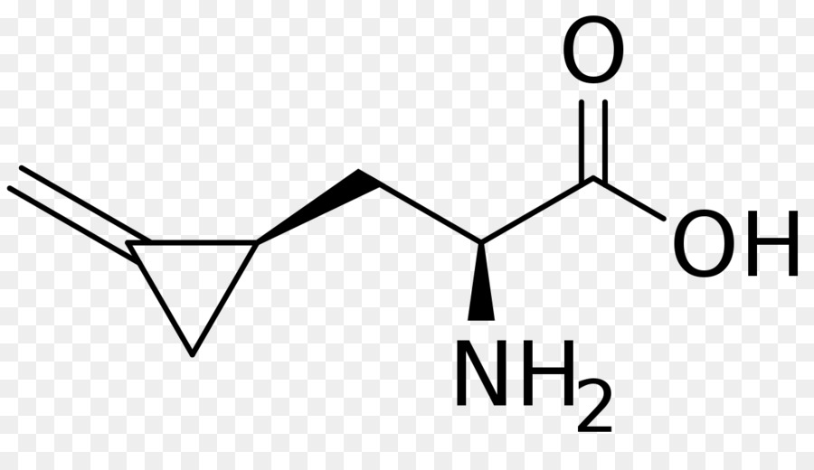 Aminoácidos，Química PNG