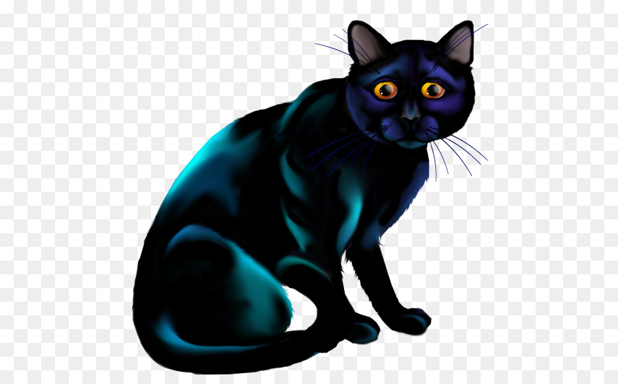 Gato Preto，Gatinho PNG