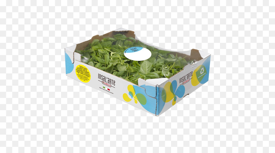 Rúcula，Salada PNG