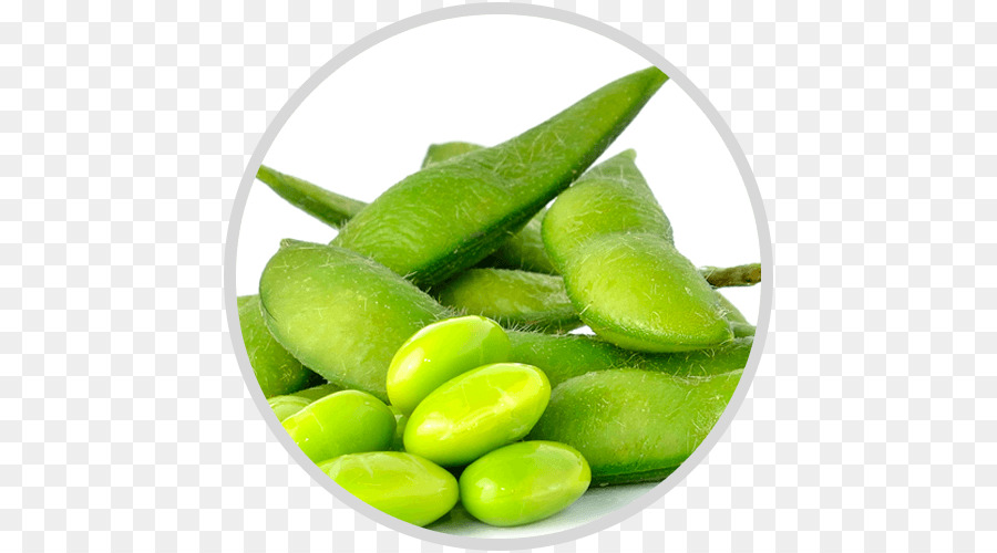 Edamame，Soja PNG