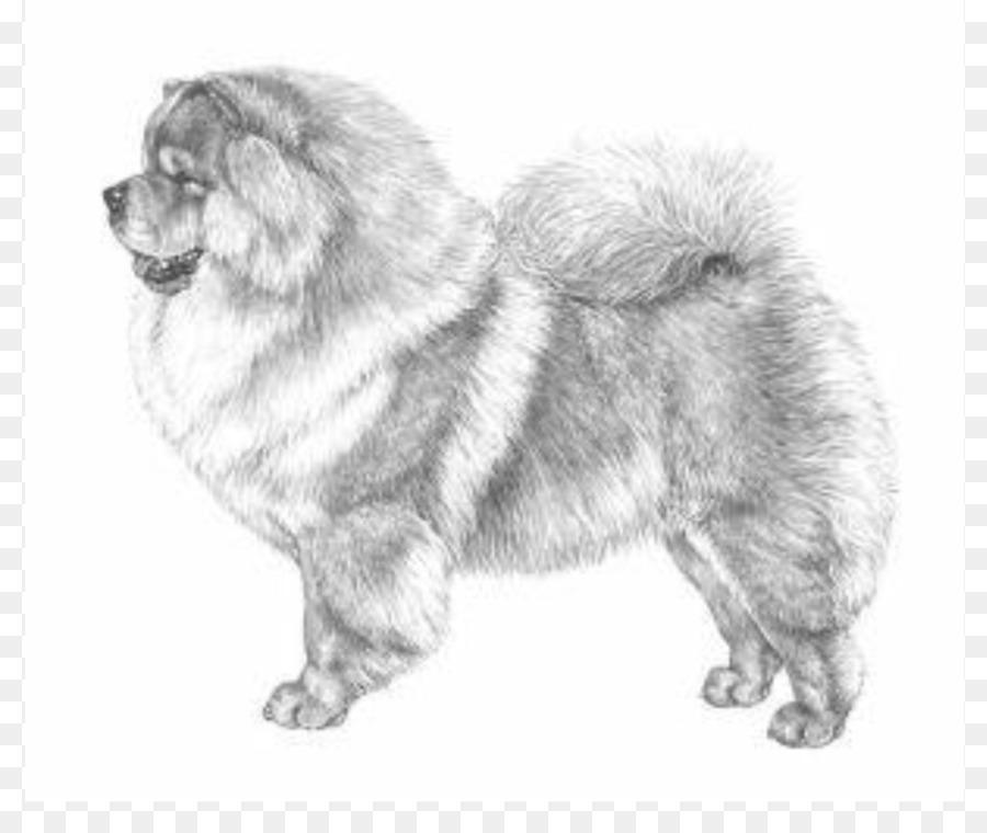 Chow Chow，Akita PNG