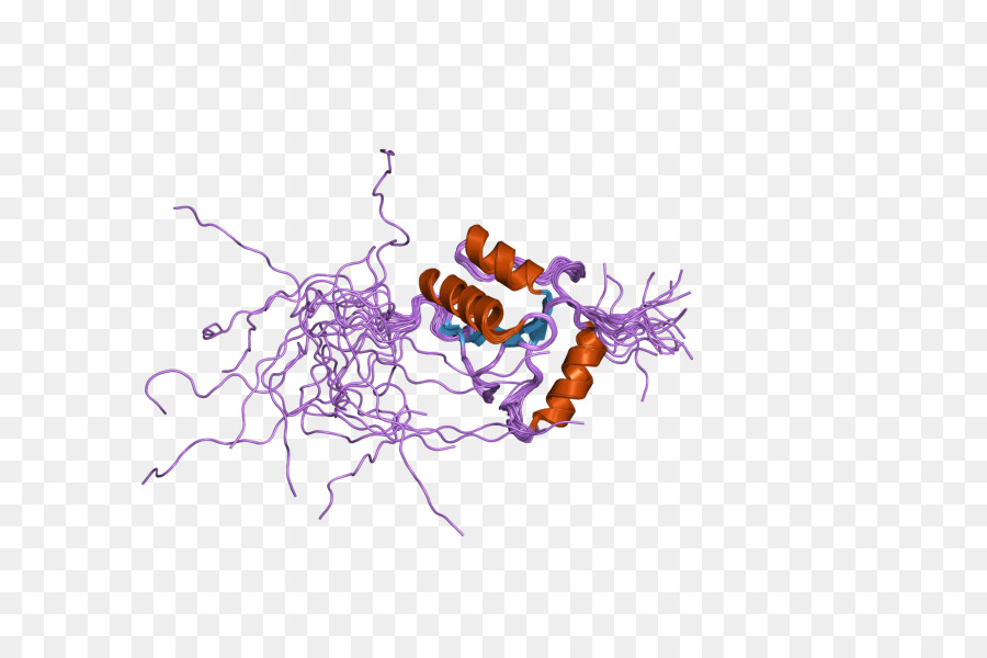 Deoxinucleotidil Transferase Terminal，Transferase PNG