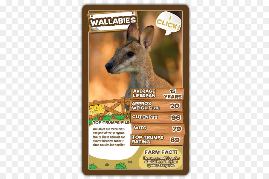 Top Trumps，Canguru PNG