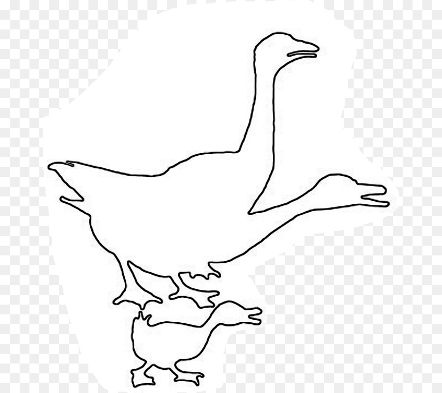 Pato，Ganso PNG