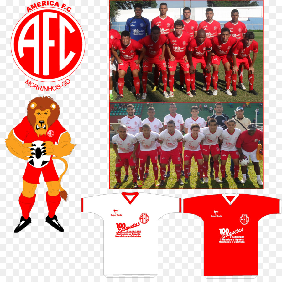 Esporte De Equipe，Equipa PNG