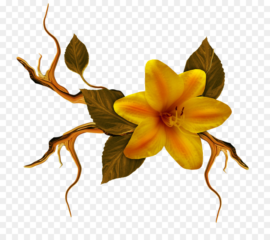 Design Floral，Flor PNG