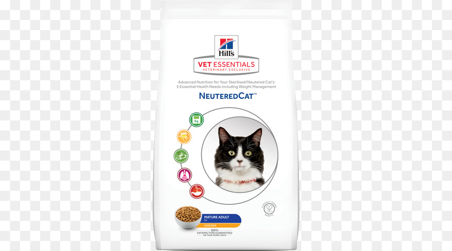 Cão，Gato PNG