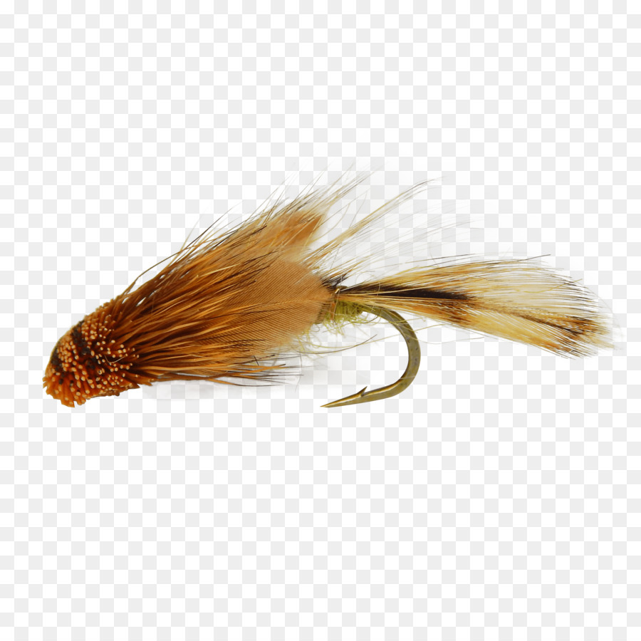 Holly Voa，Sculpins PNG