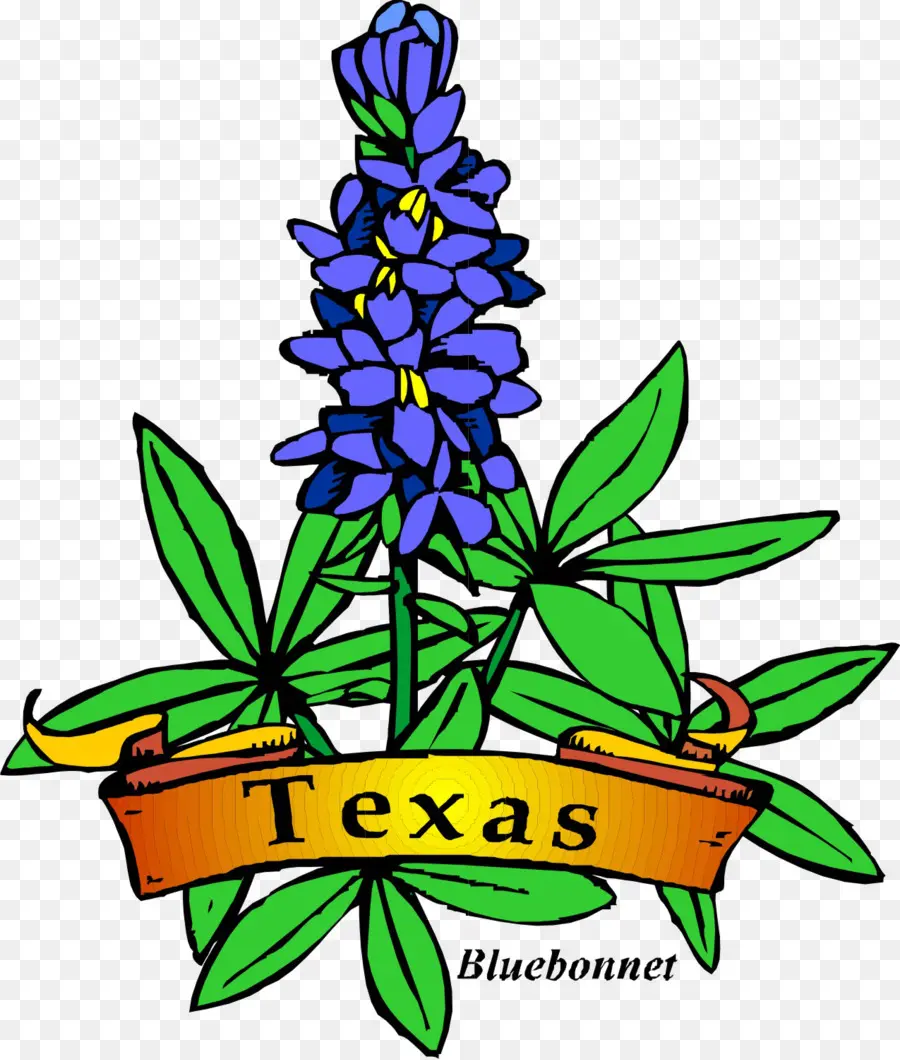 Boné Azul，Texas PNG