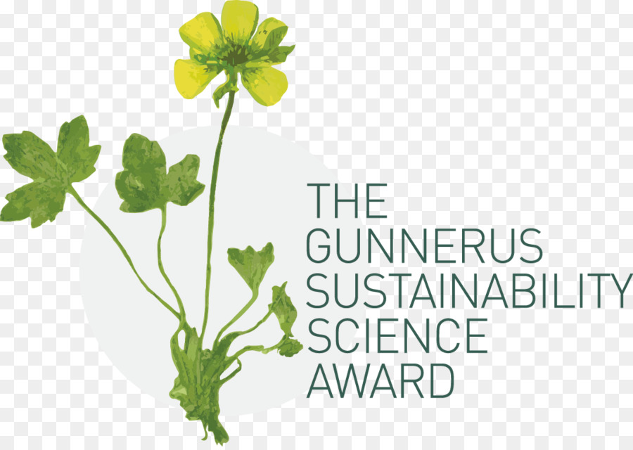 Universidade Norueguesa De Ciência E Tecnologia，Gunnerus Prêmio De Sustentabilidade PNG