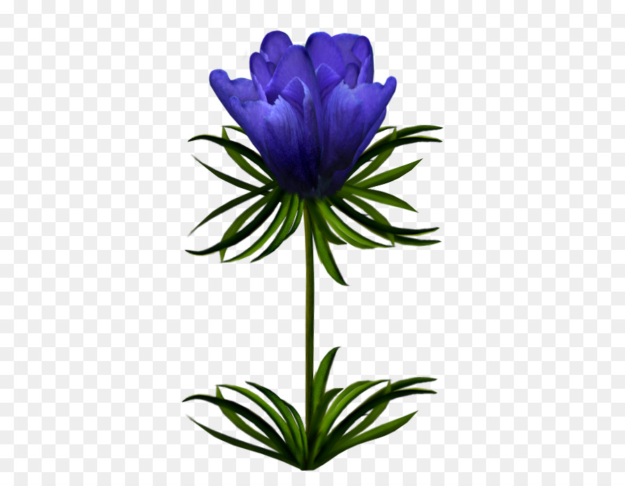 Flores De Corte，Planta PNG