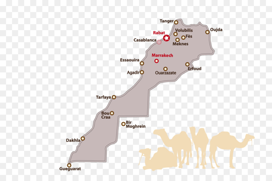 Cavalo，Mapa PNG