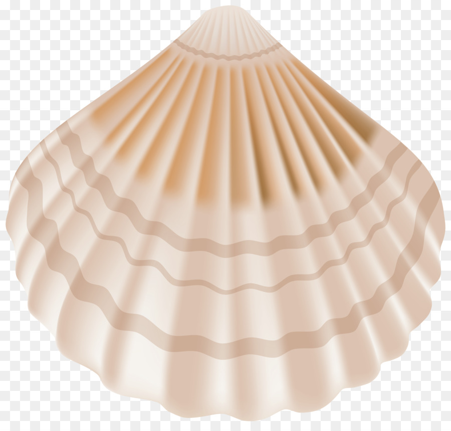 ícones Do Computador，Seashell PNG
