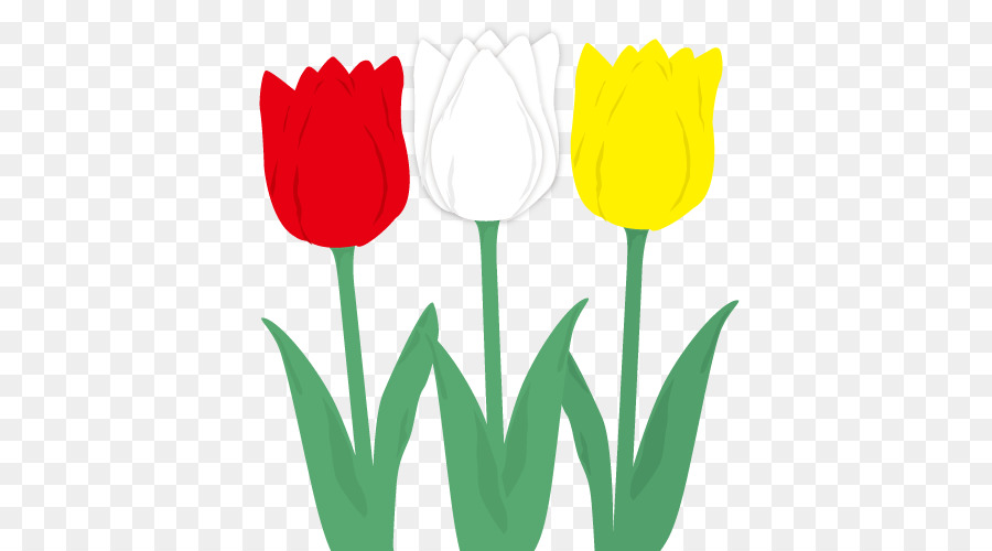 Tulipas Coloridas，Primavera PNG