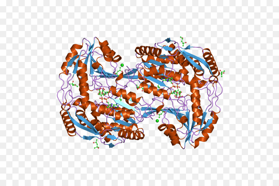 Estrutura Proteica，Molécula PNG