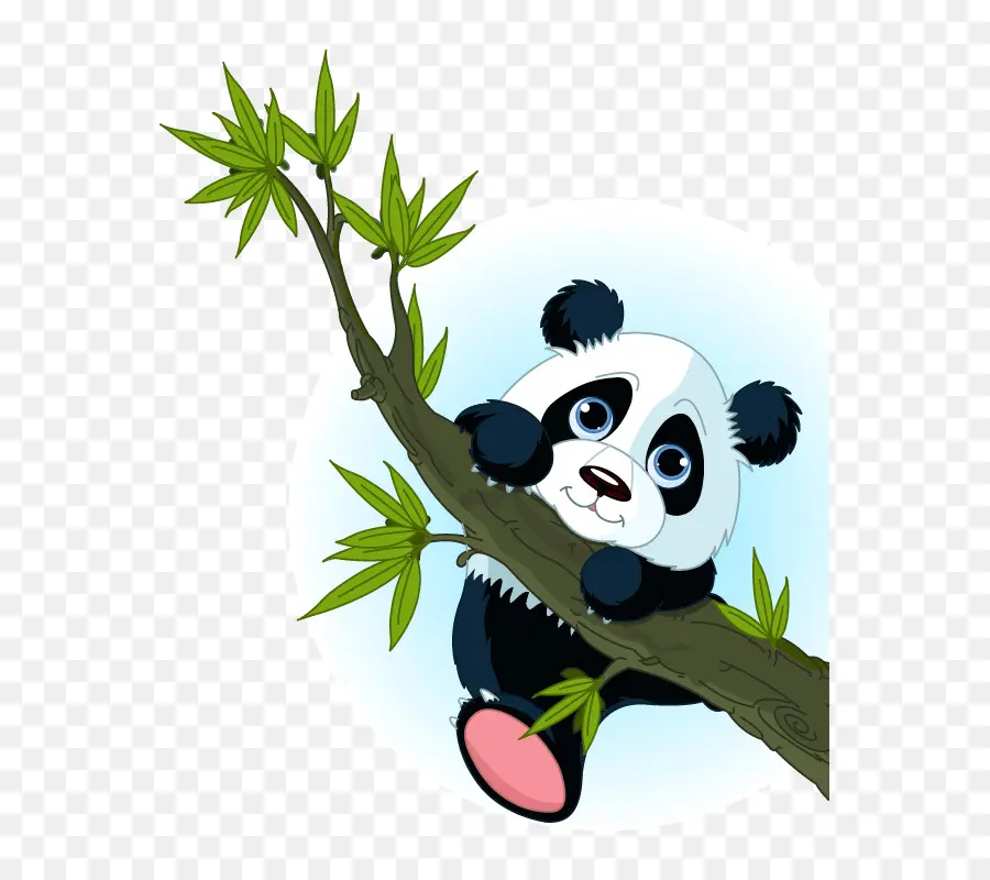 Panda Gigante，Panda Vermelho PNG