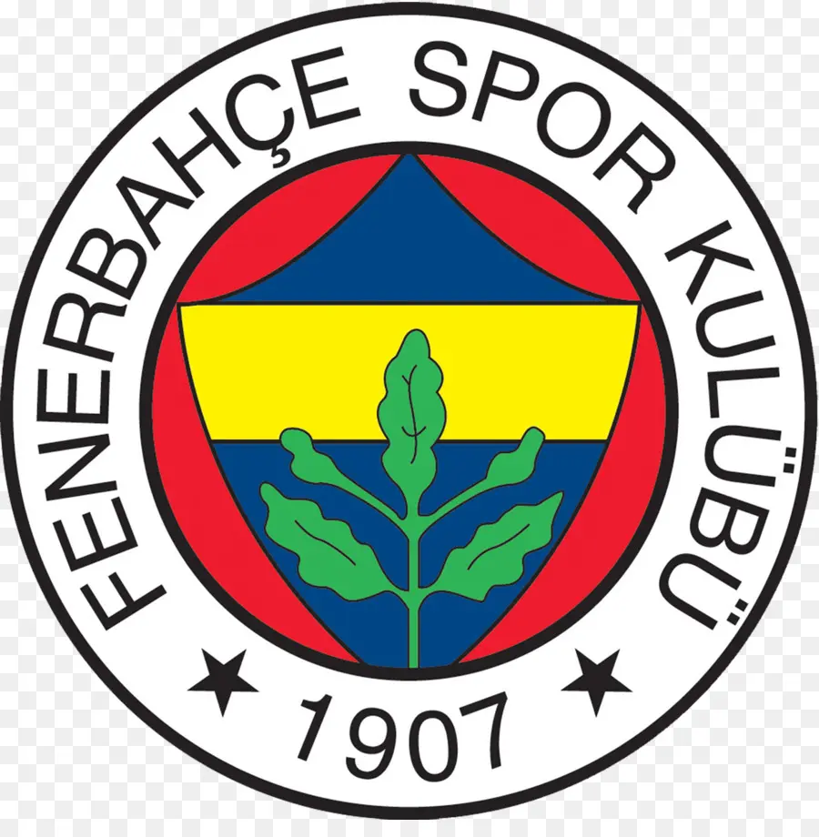O Fenerbahçe Sk，O Fenerbahçe Voleibol Feminino PNG