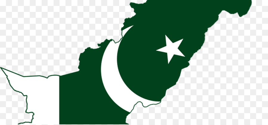 Paquistão，Bandeira Do Paquistão PNG