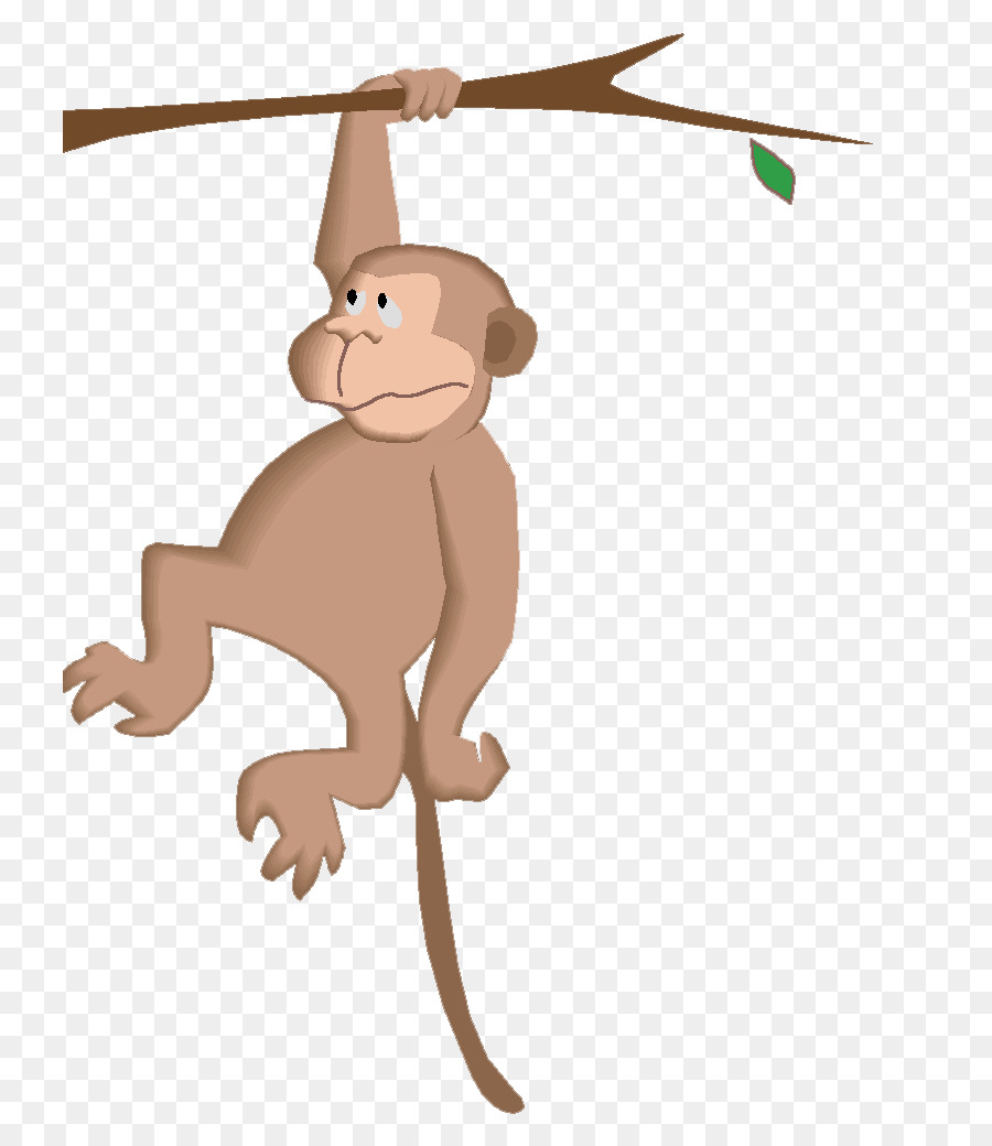 Macaco，Pendurado PNG