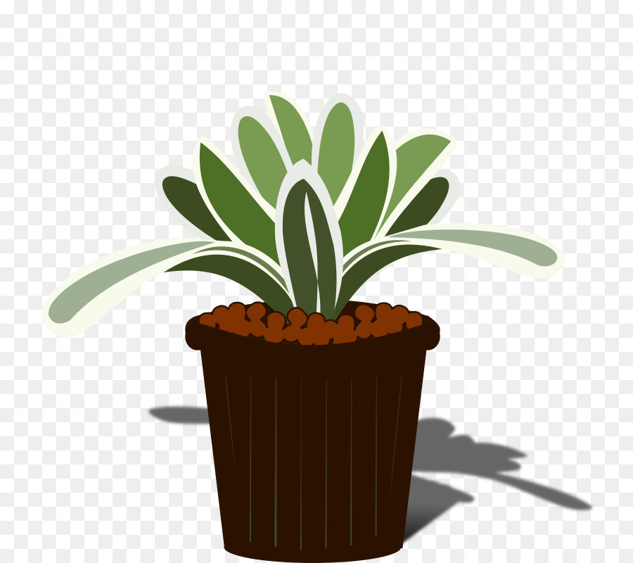 Planta Em Vaso，Interior PNG