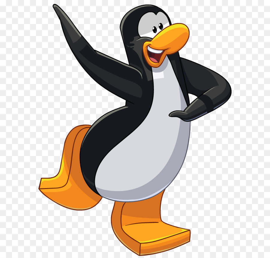 Pinguim，Pássaro PNG