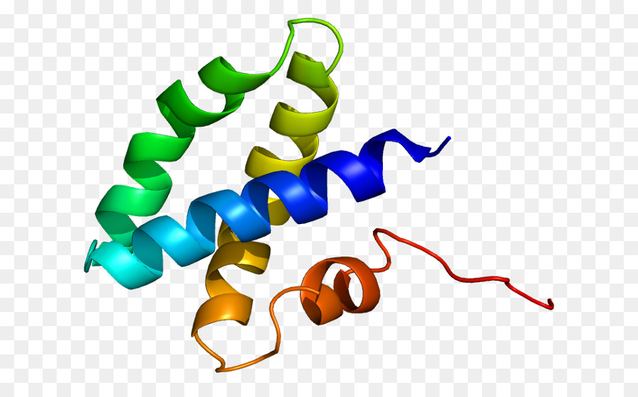 Prosaposin，Saposin Proteína De Domínio PNG