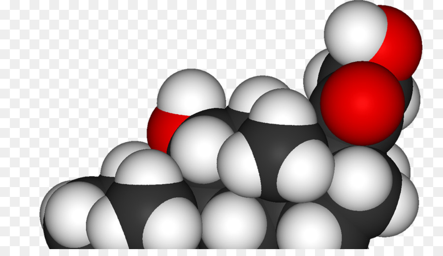 O Cortisol，Hormônio PNG