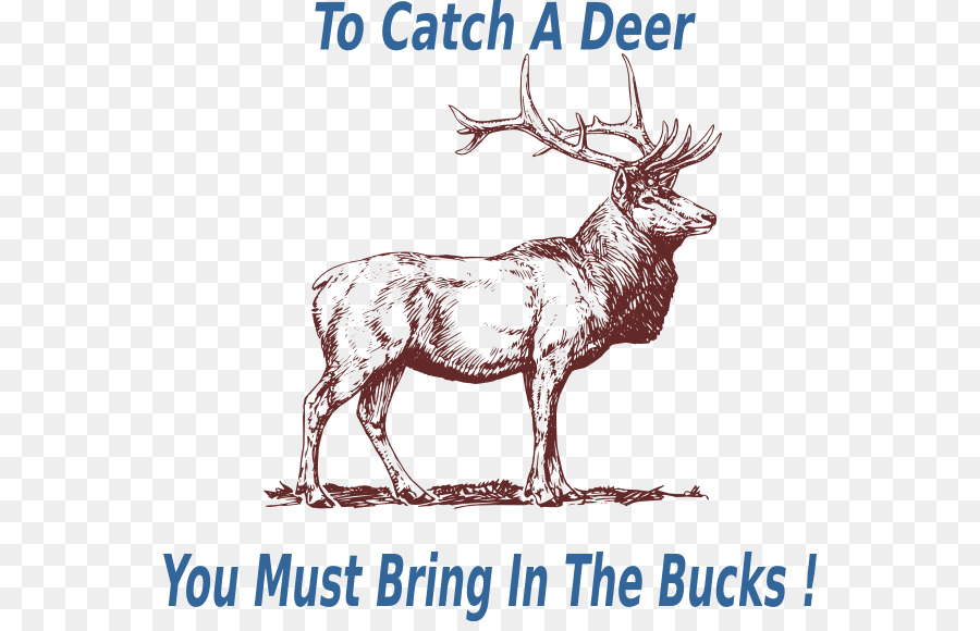 Elk，Veado PNG