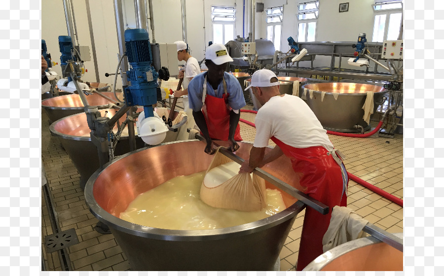 Cozinha Italiana，O Fabrico Do Queijo PNG