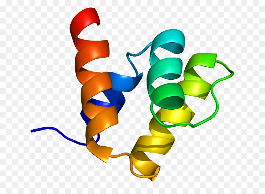 Pias1，Proteína PNG