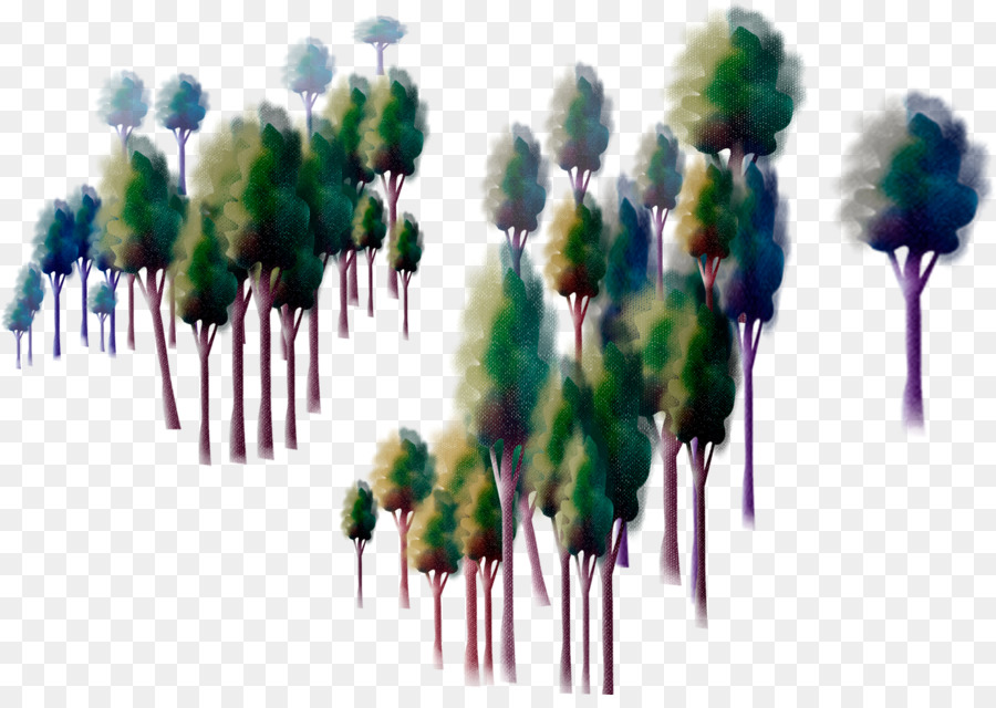 árvore，树林 PNG
