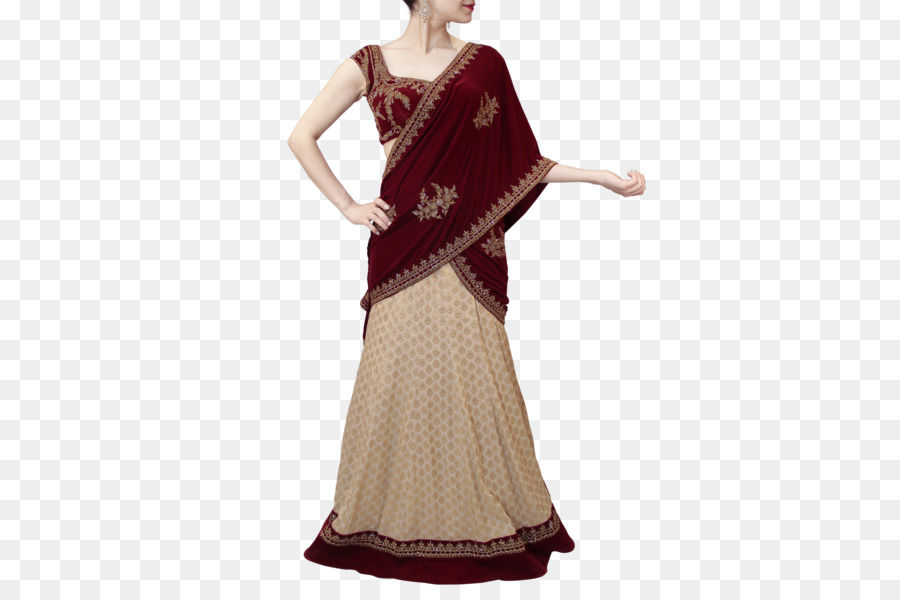 Vestido Tradicional，Sari PNG