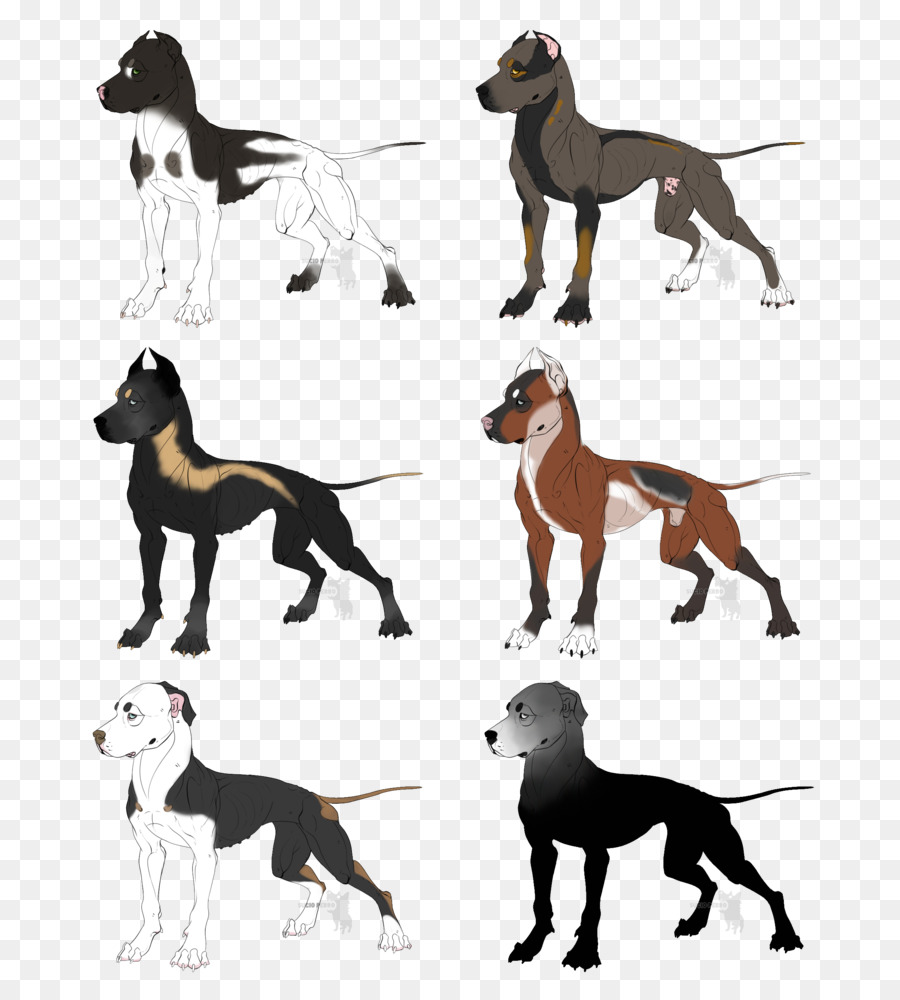 Ilustrações De Cachorro，Bicho De Estimação PNG