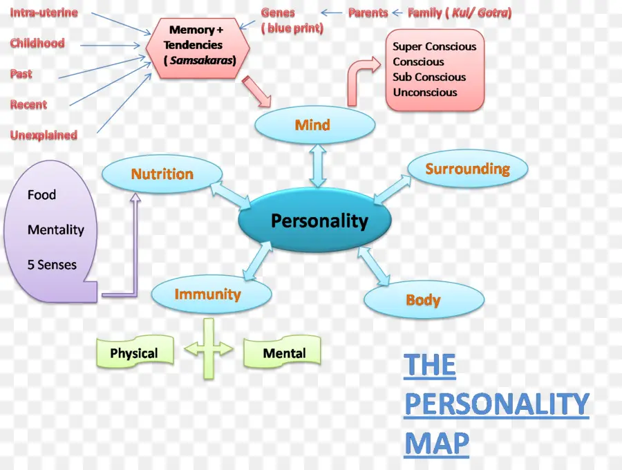 Mapa De Personalidade，Mente PNG