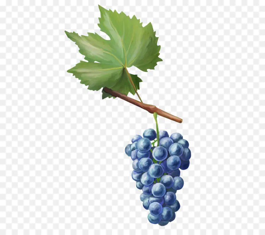 Uvas，Fruta PNG