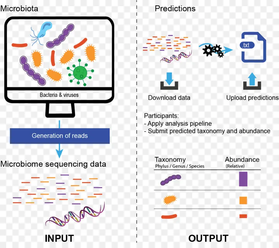 Projeto Genoma Humano，Microbiota PNG