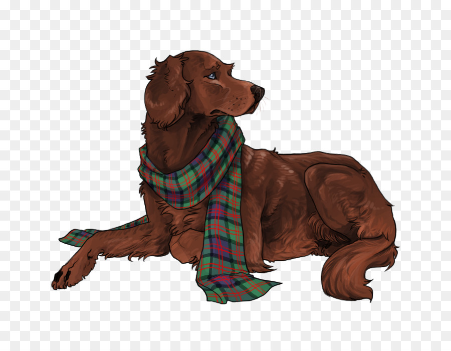 Setter Irlandês，Boykin Spaniel PNG