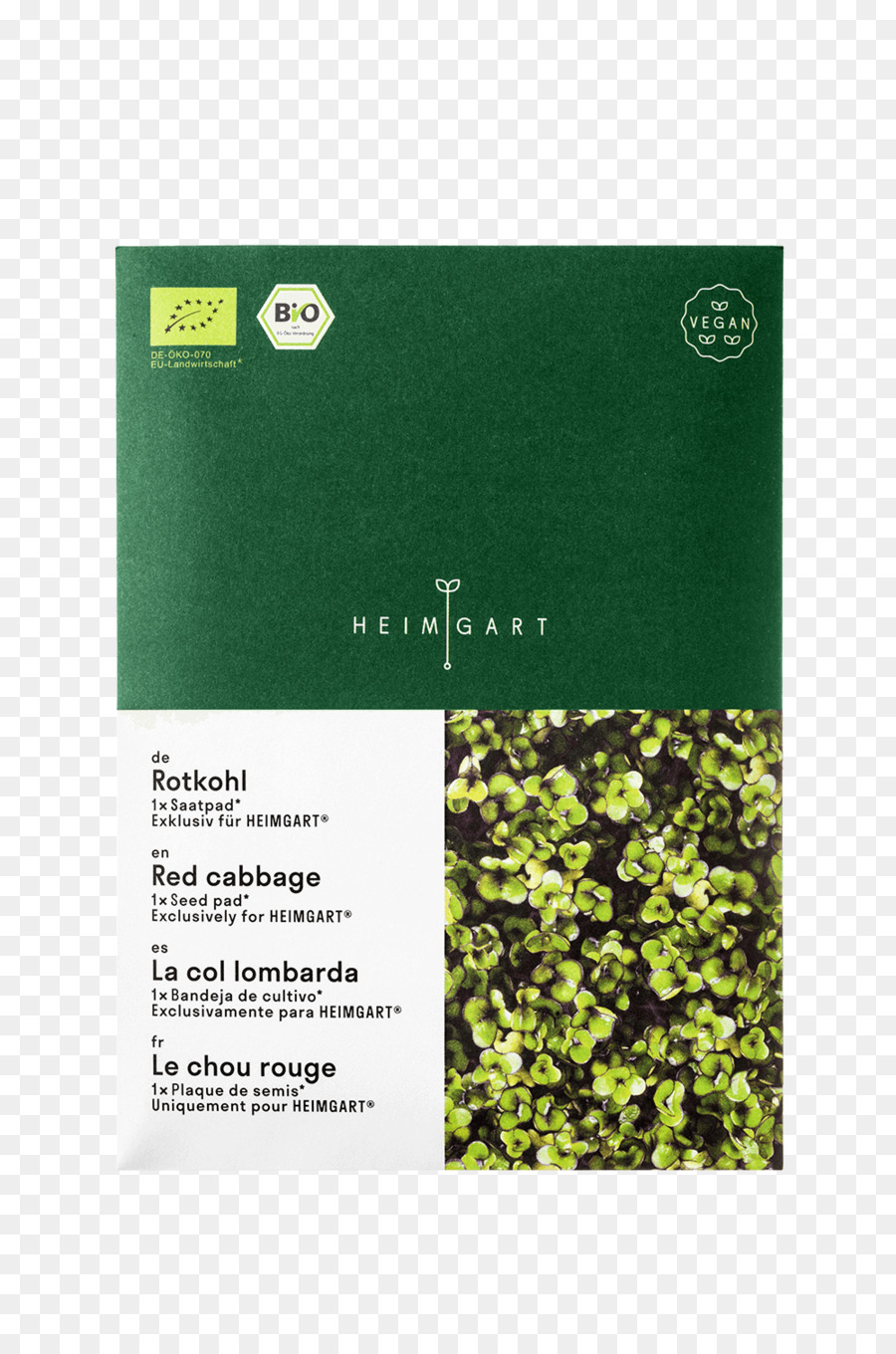 Texto，Microgreen PNG