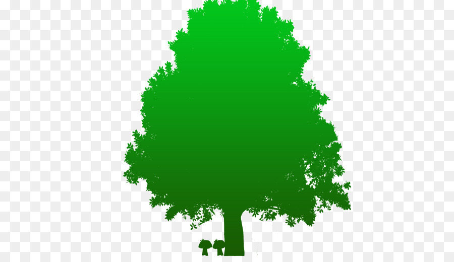 árvore，Círculo PNG