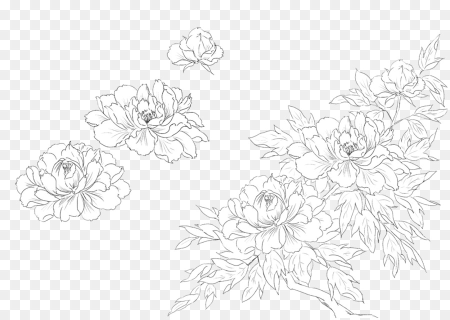 Design Floral，Branco PNG