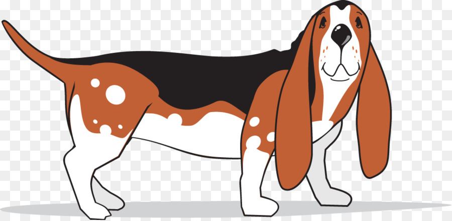 Basset Hound，American Foxhound PNG