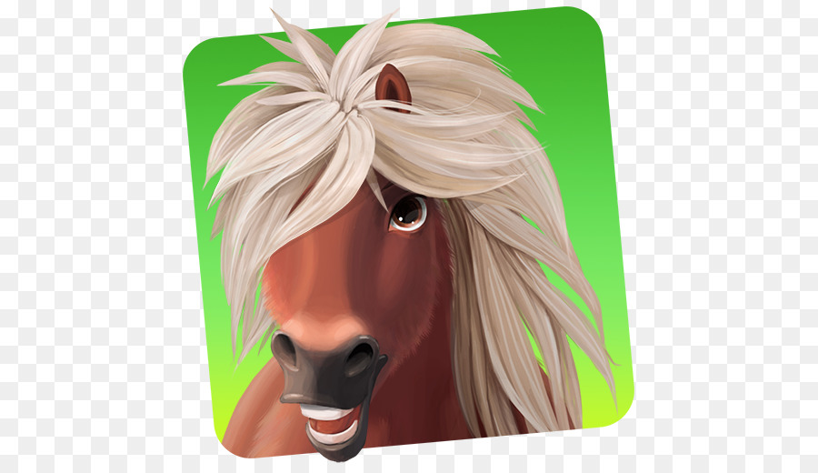 Cavalo Ainda Aventuras No Mundo，Cavalo PNG