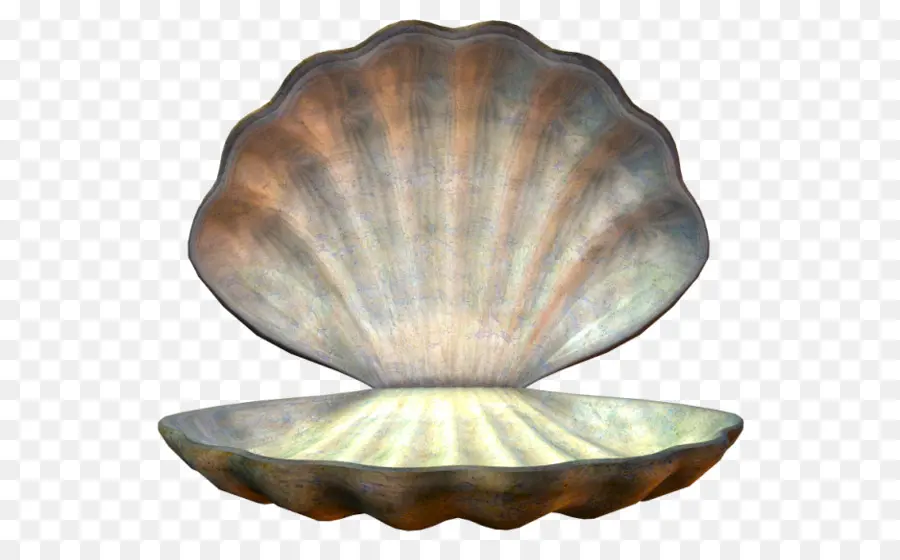 Moluscos Shell，Mulher PNG