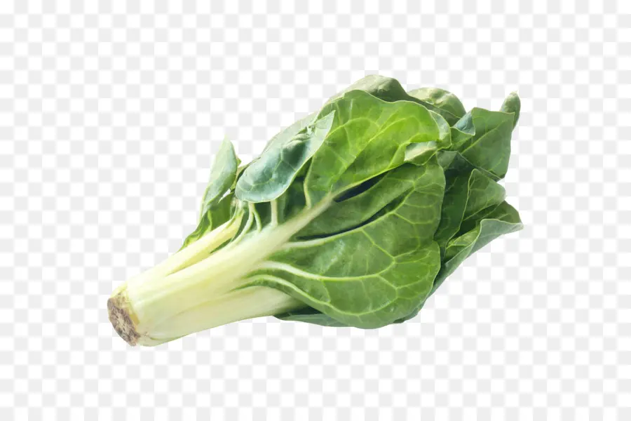 Bok Choy，Verde PNG