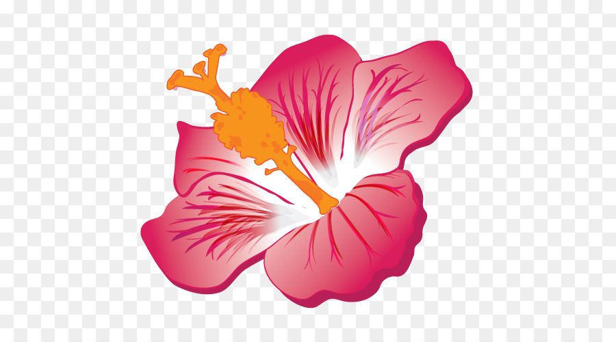 Flor De Hibisco Vermelho，Florescer PNG