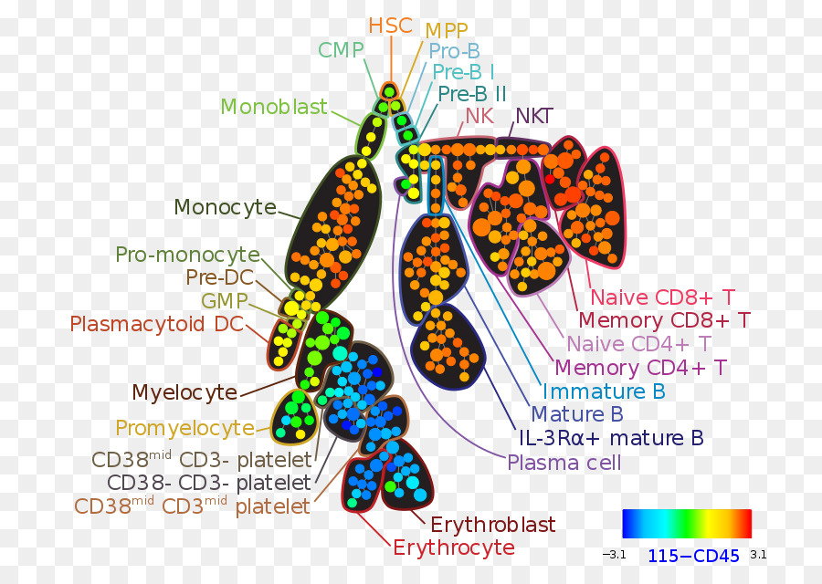 A Citometria De Fluxo，A Citometria De Fluxo Bioinformática PNG